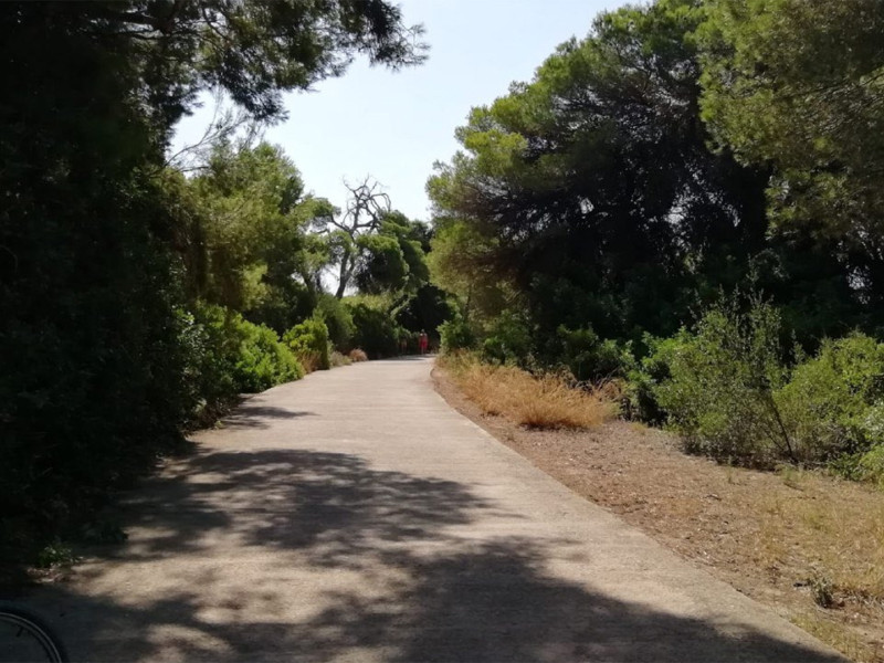 Bosque de la Dehesa
