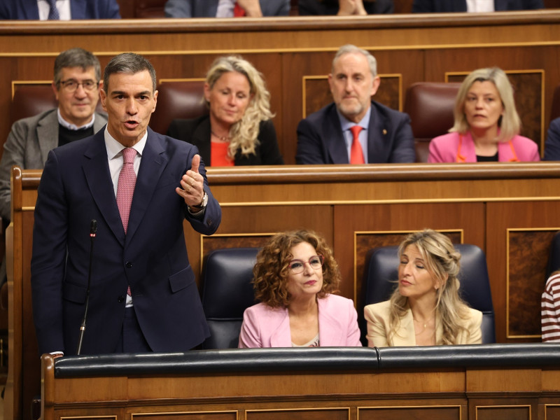 El presidente del Gobierno, Pedro Sánchez, durante la sesión de control al Gobierno, en el Congreso de los Diputados