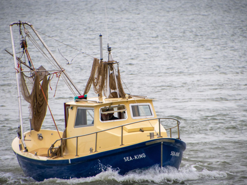 Barco de pesca