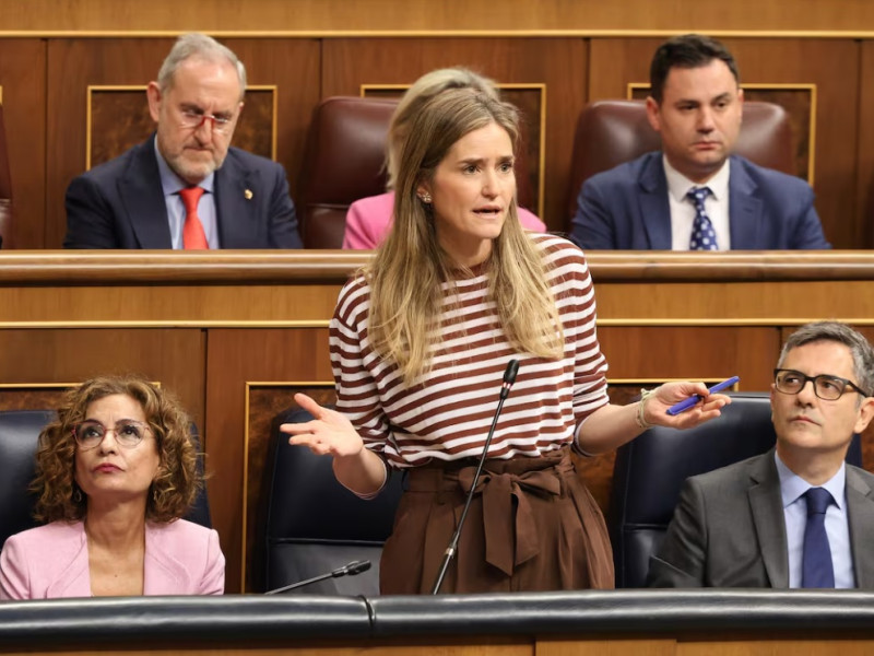 La vicepresidenta tercera y ministra para la Transición Ecológica, Sara Aagesen, este miércoles en el Congreso - EUROPAPRESS