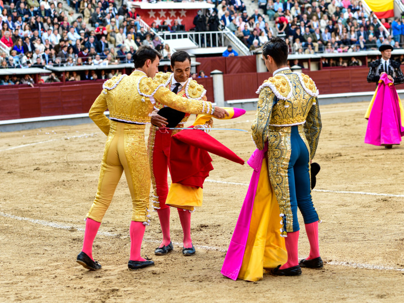 Ceremonia de confirmación de alternativa de Alejandro Chicharro