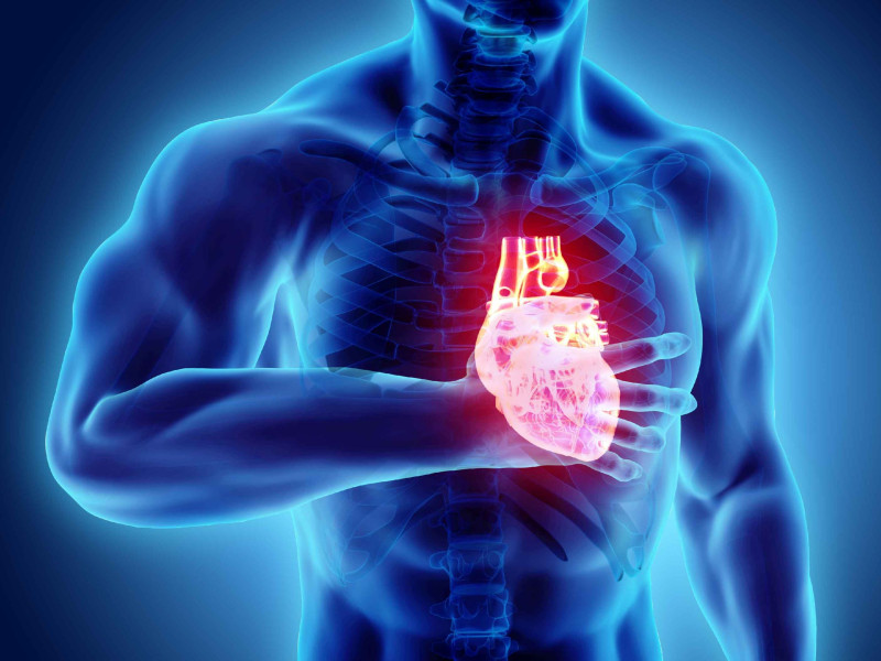 Una microbiota bucal en desequilibrio puede estar detrás de enfermedades cardiovasculares