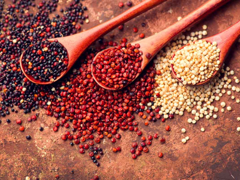 La quinoa, el ‘grano madre’ de los Andes que echa raíces en Extremadura