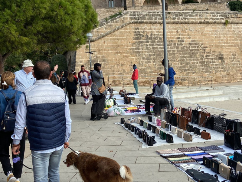 Vendedores ilegales en los alrededores de la Catedral de Mallorca