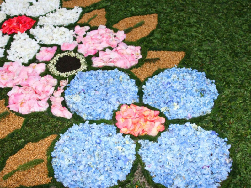 Alfombra de flores en Ponteareas