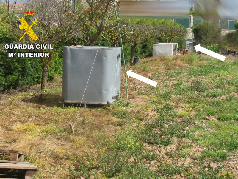 Detenido por usar una red japonesa para capturar aves en la comarca Odra-Pisuerga (Burgos)