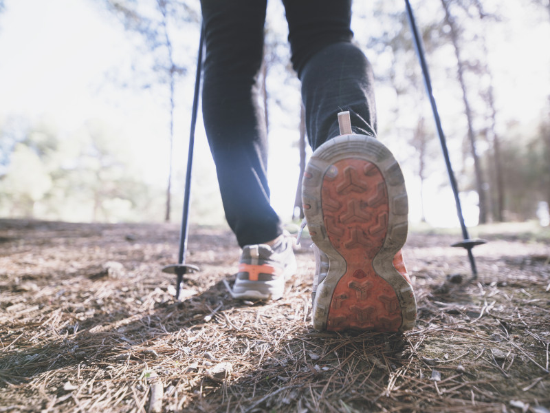 Un senderista caminando por un bosque