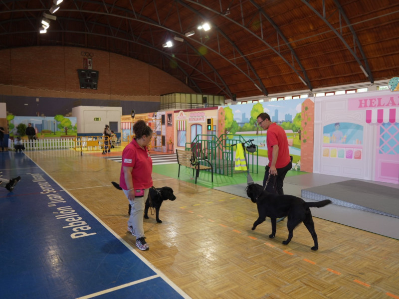 Primeras exhibiciones de perros guía de 2025