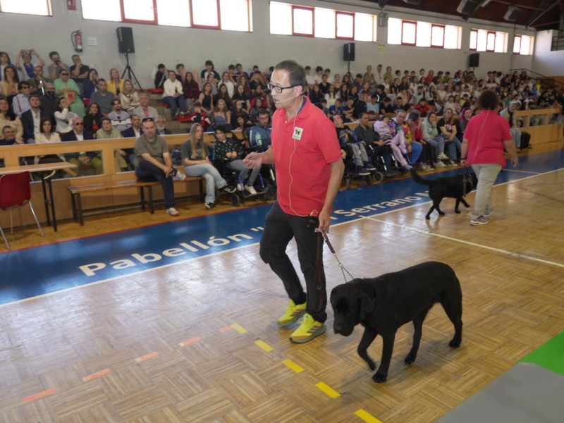 Primeras exhibiciones de perros guía de 2025