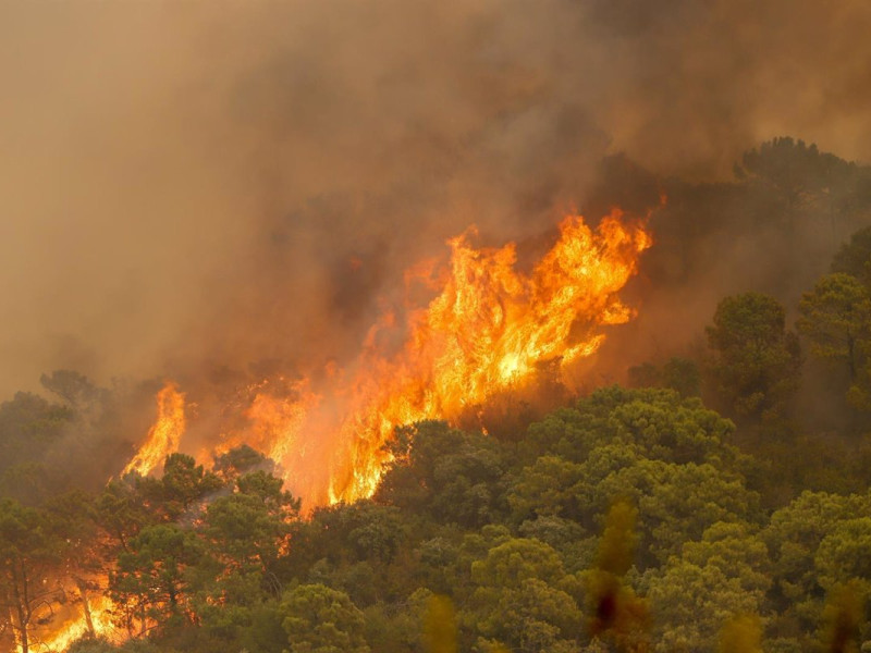Incendio forestal en Málaga
