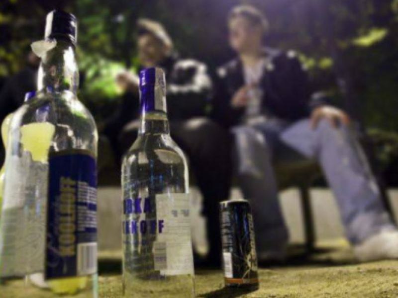 Pasea con su perro por un parque de Logroño y no puede creer lo que hacen unos adolescentes: "Incorregibles"