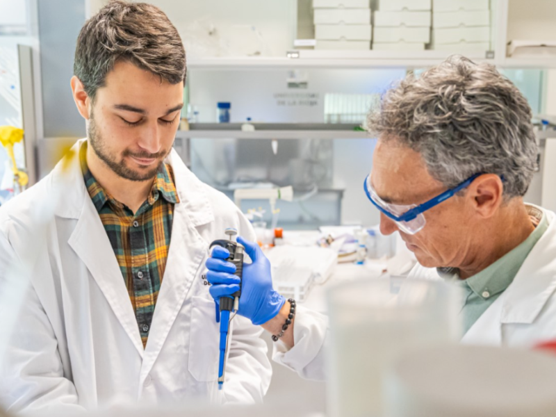 Tres tesis doctorales realizadas en la Universidad de La Rioja (UR) proponen pequeños avances hacia la creación de vacunas y sistemas de detección de diferentes tipos de cáncer