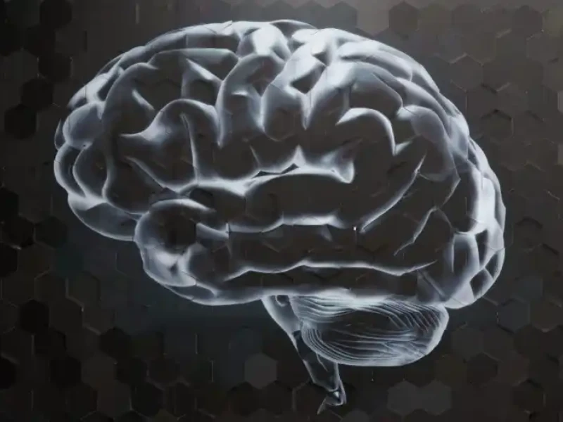 Cerebro