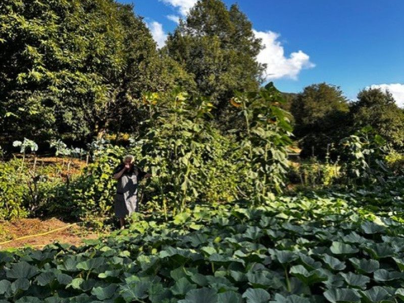 La centenaria siempre dedicó su vida a trabajar las fincas