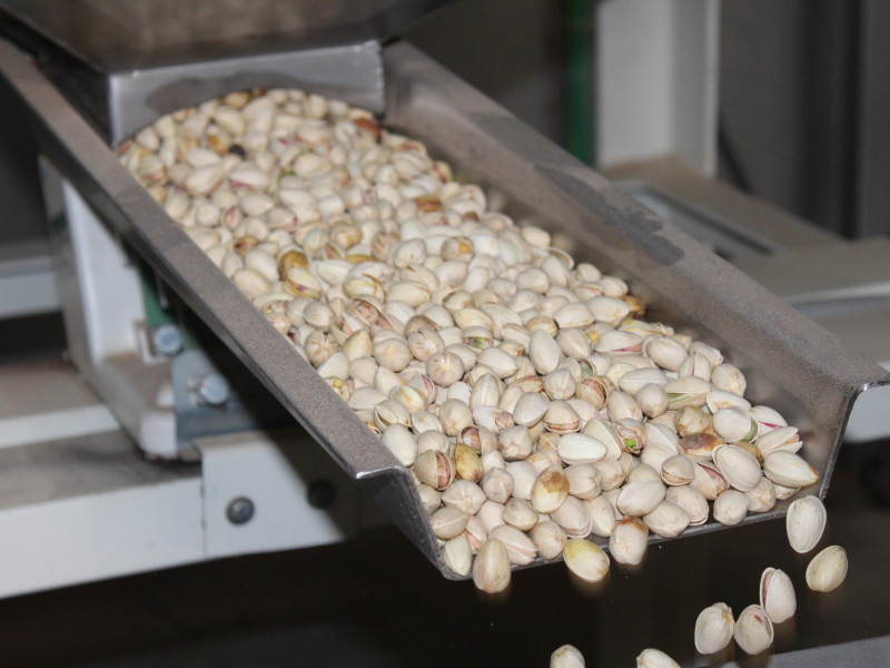 Pistachos de Castilla-La Mancha