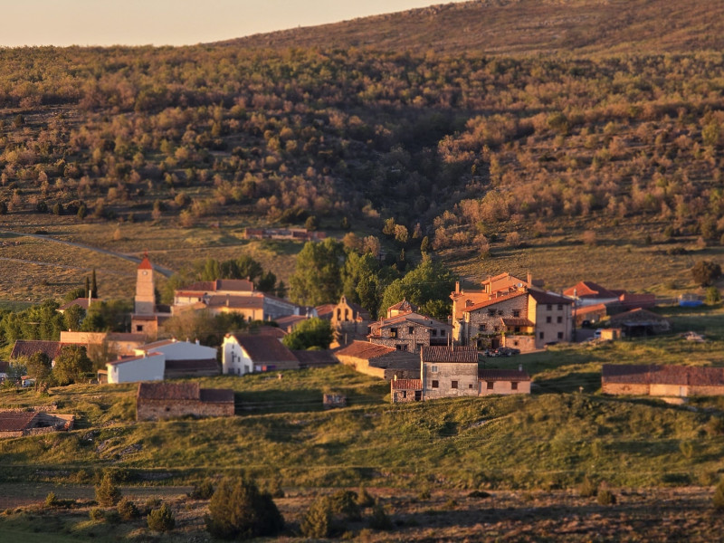 Selas (Guadalajara)
