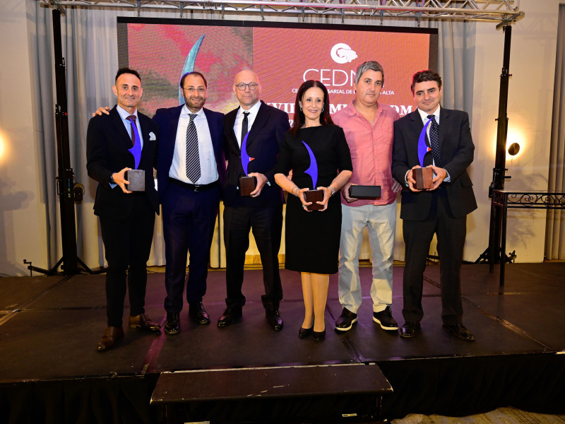 Galardonados de los Premios CEDMA 2025