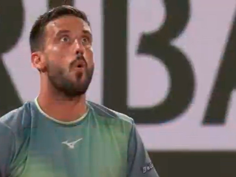 Damir Dzumhur, sorprendido ante el patadón de Alcaraz