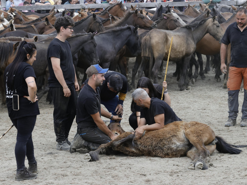 El relevo generacional, por ahora, está garantizado