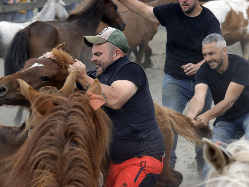 Caballos y hombres se 'enfrentan' cuerpo a cuerpo