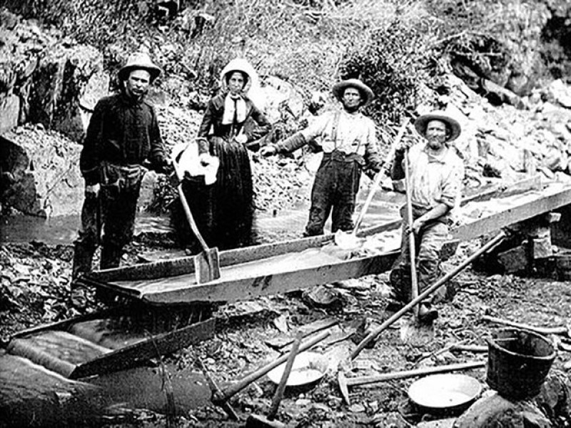 La fiebre del oro