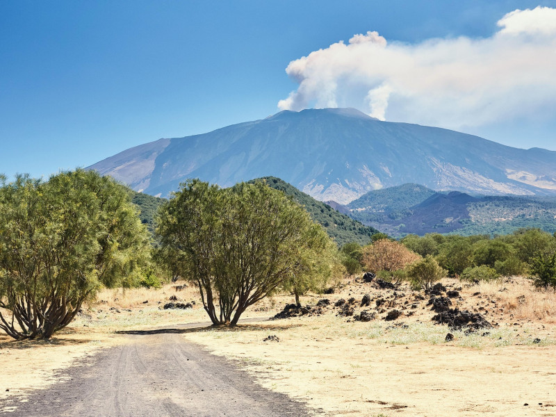 Más del 20% de los vuelos con destino a Catania experimentaron retrasos, según datos de FlightAware.