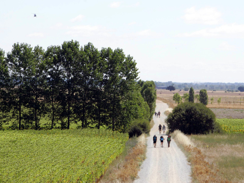 Camino de Santiago, entre Carrión de los Condes y Calzadilla de la Cueza, en la provincia de Palencia