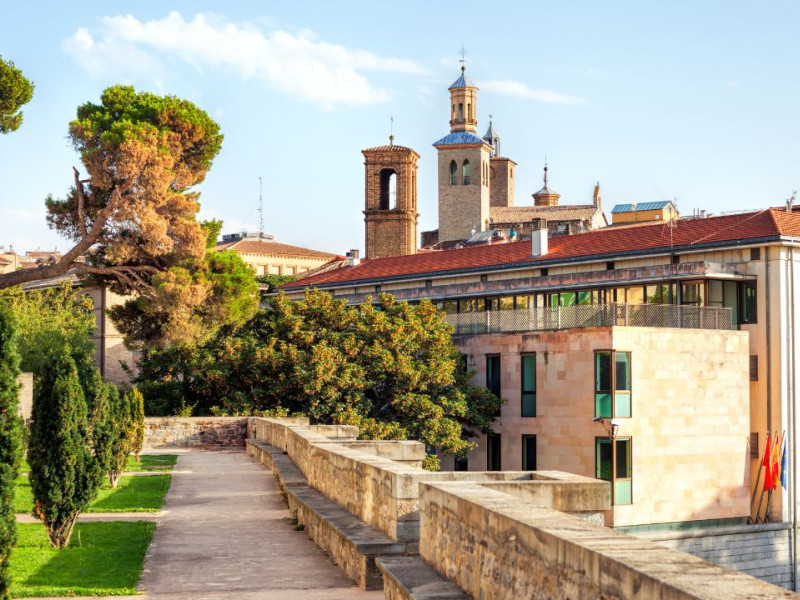 Árboles en Pamplona