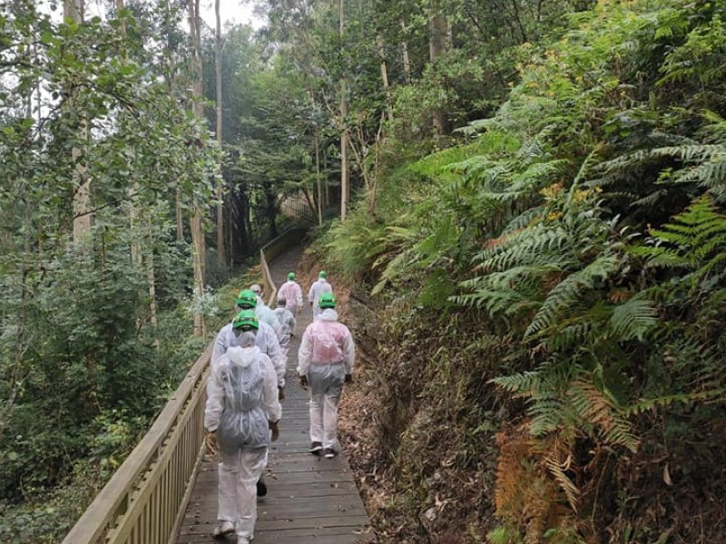 Paraje en que se enmarca la Cova do Rei Cintolo