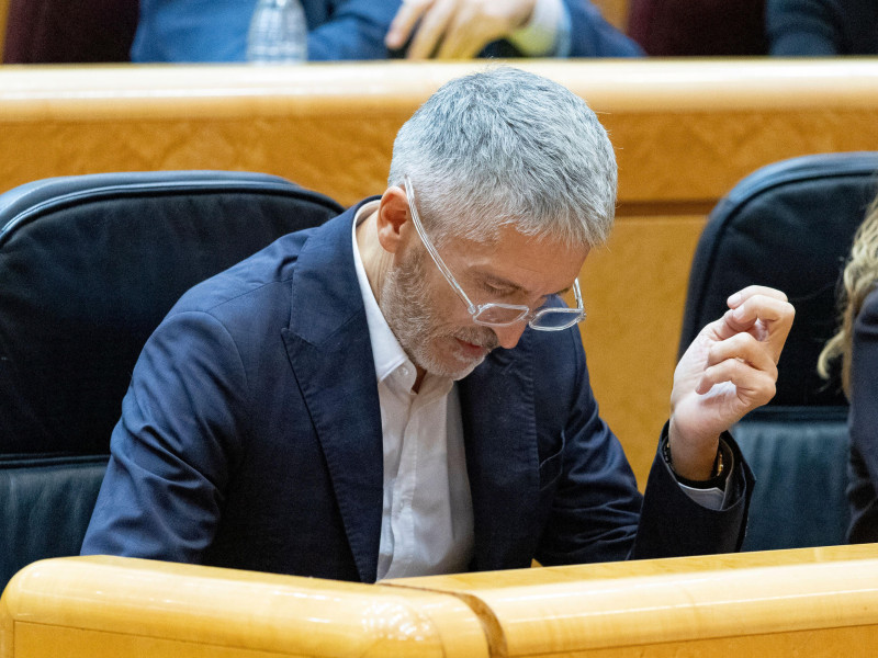 Fernando Grande-Marlaska Gómez. Ministro del Interior. En el Senado de España.
