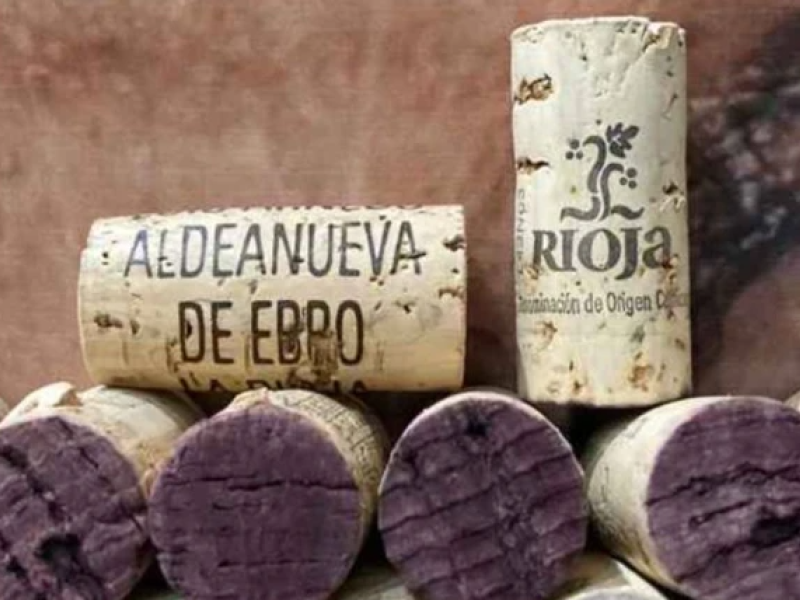 El futuro del Rioja está en Aldeanueva de Ebro