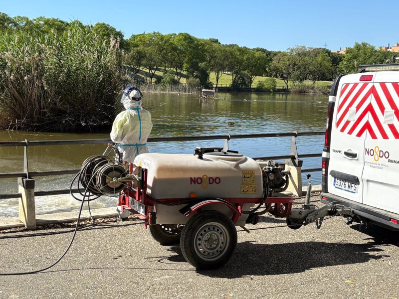 Refuerzo del tratamiento contra mosquitos del Virus del Nilo en Sevilla