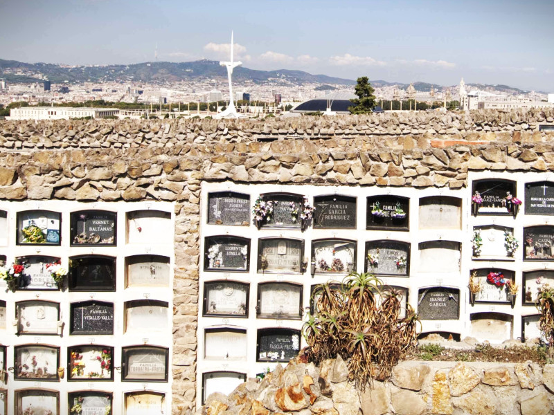 la ciudadana no tuvo conocimiento efectivo del daño hasta que descubrió la situación de la sepultura.