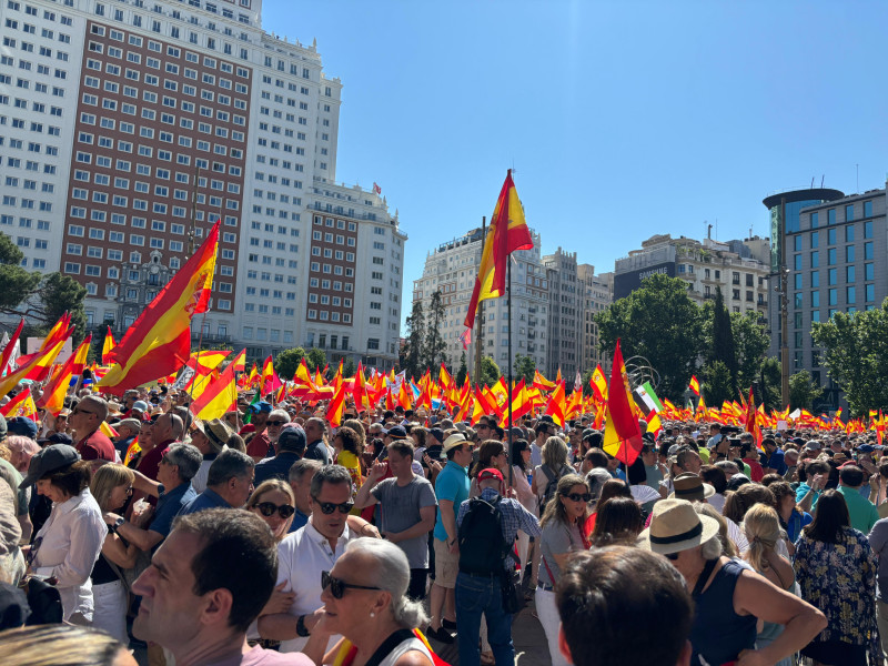 Manifestación en Plaza de España