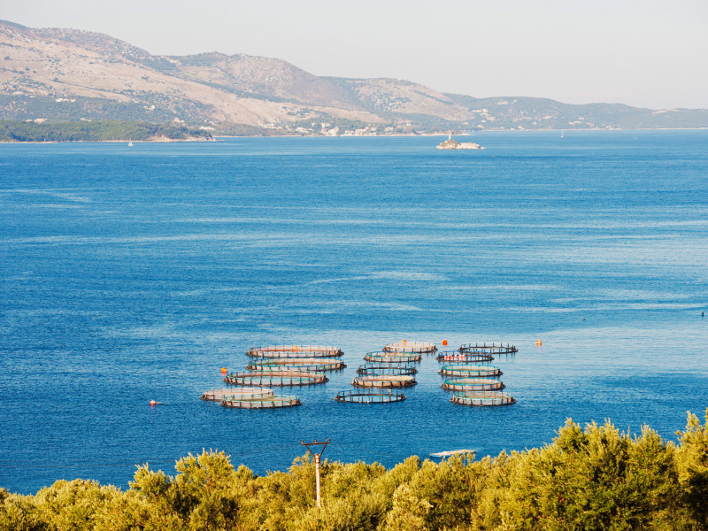 Albania