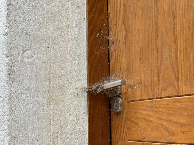 Telarañas en las manillas de las puertas son una muestra evidente de la inactividad en el edificio