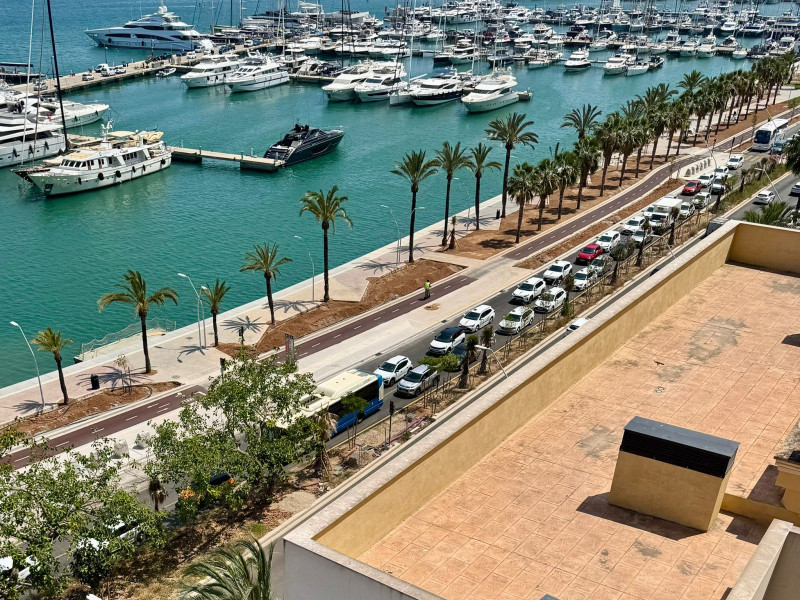 Atascos en el Paseo Marítimo