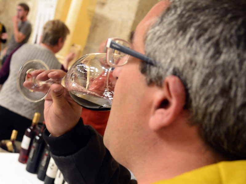 Las claves que han hecho "excelente" la añada 2024 de los vinos de la Denominación de Origen Arlanza