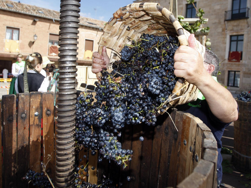 Fiesta de la Vendimia de la Denominación de Origen Arlanza celebrada en Lerma (Burgos)