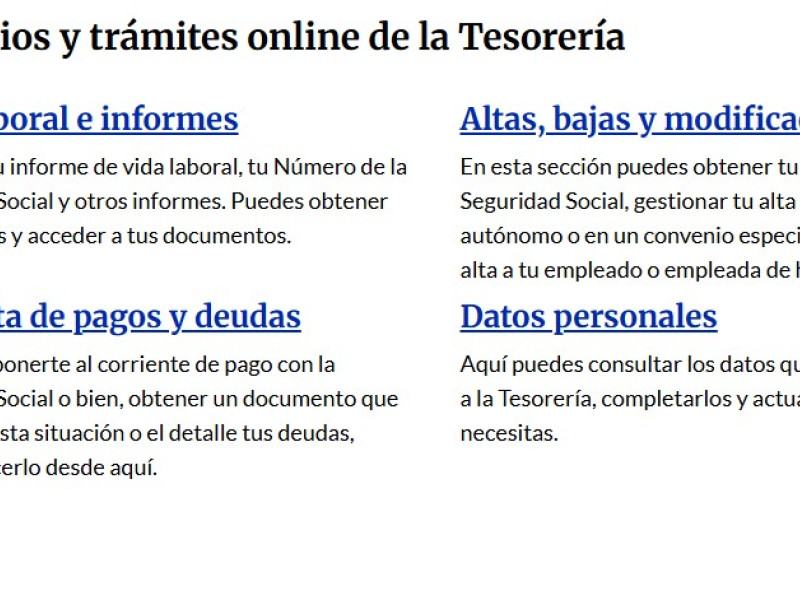 Captura de pantalla portal.seg-social.gob.es del informe de vida laboral