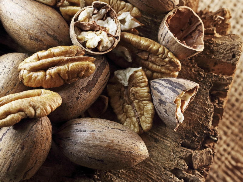 Nueces ricas en proteínas