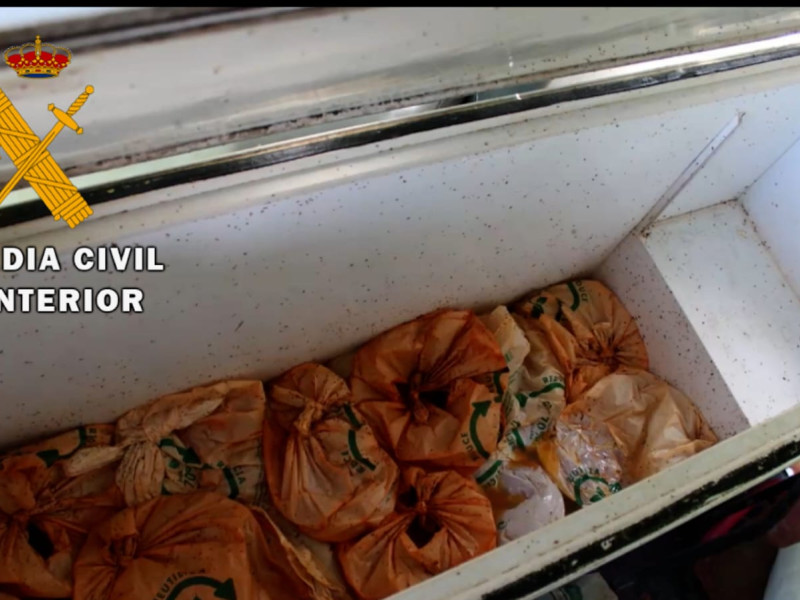 Pimientos fraudulentos en un congelador de la finca de Tudela
