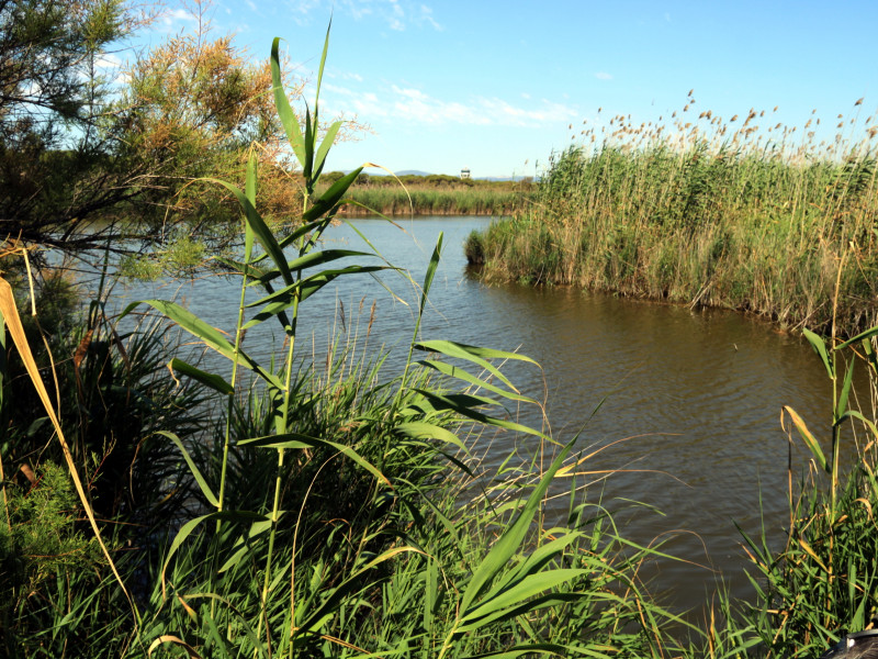 Estany de la Ricarda