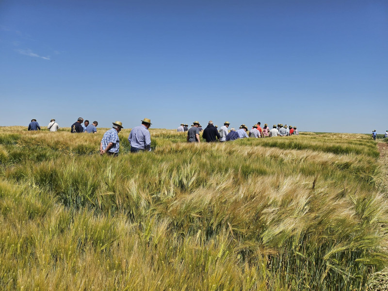 Agricultores en campos de la provincia de Burgos
