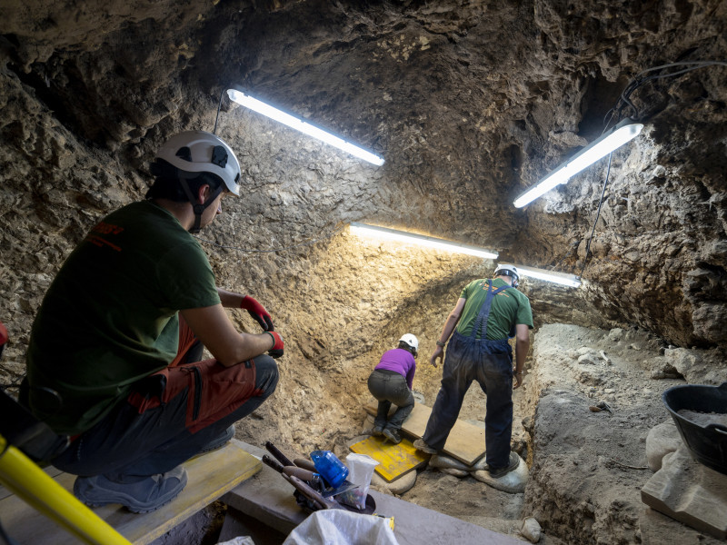 Yacimiento de Mirador, Atapuerca