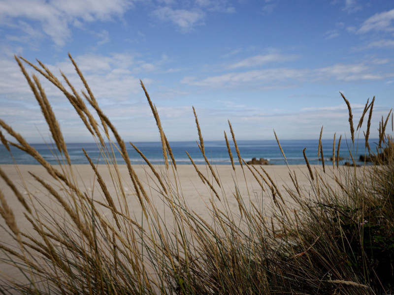Dunas de la playa de Valcovo, en Arteixo