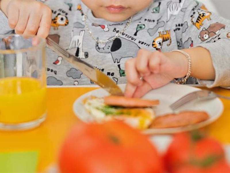 comida