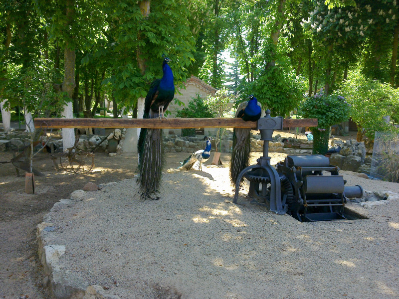 Zoo de las Aves de Herrera de Pisuerga