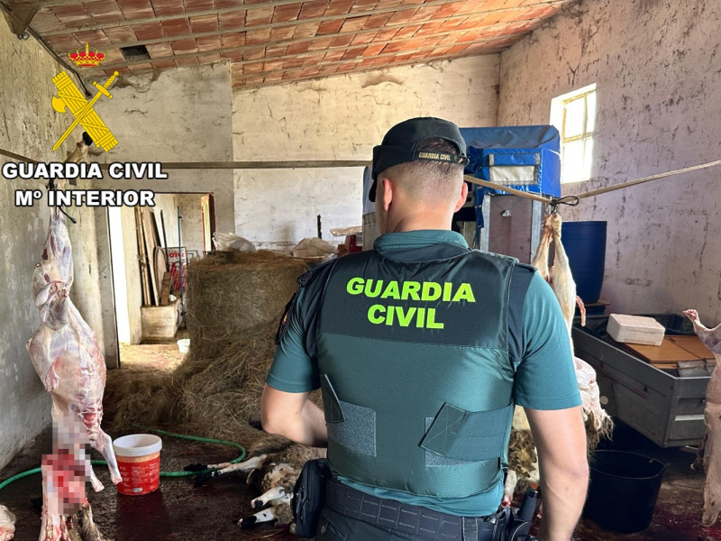 Amplia operación de control ganadero en la provincia