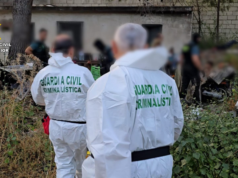 TTras tres meses de investigación, la Guardia Civil da con los presuntos responsables de una agresión mortal en Benicàssim